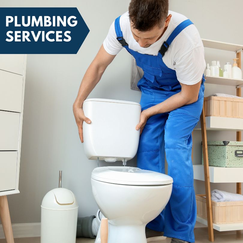 Plumbing Company in Lakemont, GA